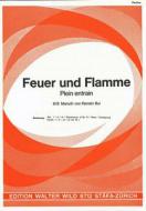 Feuer und Flamme 