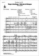 Morgen in den Bergen 