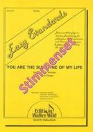 You Are The Sunshine Of My Life 