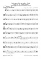 Lobe den Herrn, meine Seele 