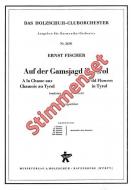 Auf der Gamsjagd in Tirol 