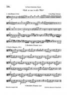 Ruft es aus in alle Welt 