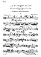 Auf die ruhige Nachtzeit 