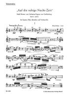 Auf die ruhige Nachtzeit 