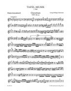 Ouvertüre und Conclusion e-Moll 