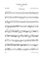 Ouvertüre und Conclusion e-Moll 