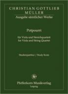 Potpourri für Viola und Streichquartett 