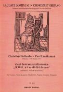 2 Instrumentalfantasien 