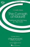 The Curragh Of Kildare 