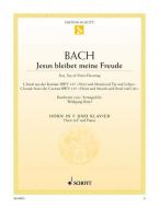 Jesus bleibet meine Freude Standard