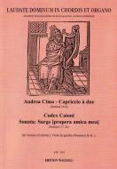 Capriccio à due & Sonata Super 'Surge Propera amica mea' 