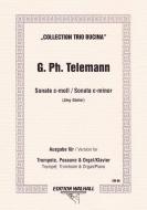 Sonate c-Moll TWV 42:c2 