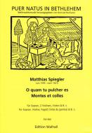 O quam tu pulcher es & Montes et colles 