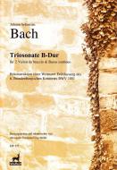 Brandenburgisches Konzert Nr. 6 BWV 1051 