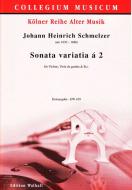 Sonata variatia à 2 