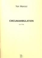 Circumambulation 