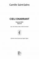 Coeli Enarrant Introduction 