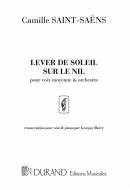 Lever de Soleil Sur Le Nil 