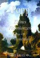 Kleines Flötenkonzert op. 438 