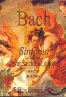 Sinfonia zu Non sa che sia dolore 