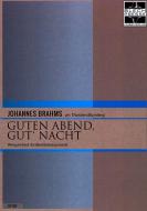 Wiegenlied (Guten Abend gute Nacht) 