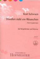 Draußen steht ein Bäumchen 