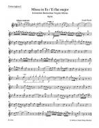 Missa in honorem Beatissimae Virginis Mariae 