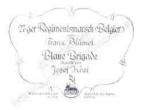 Blaue Brigade (70er Regimentsmarsch) 