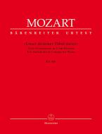 Unser dummer Pöbel meint Standard