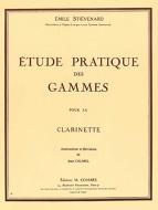 Etude pratique des gammes 