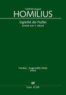 Ergreifet die Psalter, ihr christlichen Chöre 