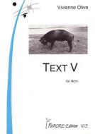 Text V 