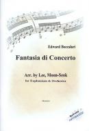Fantasia di concerto 