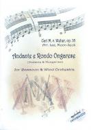 Andante e Rondo Ongarese 