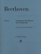 Variationen für Klavier und Violoncello 