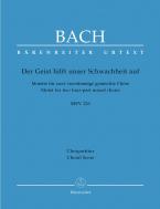 Der Geist hilft unser Schwachheit auf BWV 226 Standard
