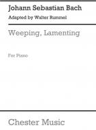 Sinfonia-Weeping, Lamenting 