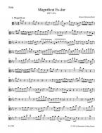 Magnificat Es-Dur BWV 243a 