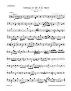 Serenade D-Dur KV 239 