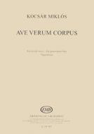 Ave verum corpus 
