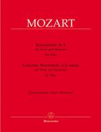 Konzertsatz in E für Horn und Orchester KV 494a 