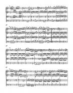 Sinfonie Nr. 13 F-Dur KV 112 Standard