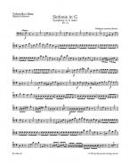 Sinfonie Nr. 10 G-Dur KV 74 