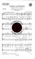 Wanderer und der Bach 