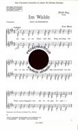 Im Walde 