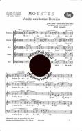 Motette 