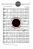 3 schöne Dinge fein 