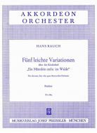Fünf leichte Variationen 