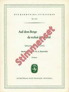 Auf dem Berge da wehet der Wind 
