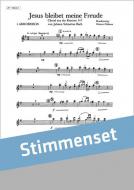 Festliche Musik (Satz 2) 